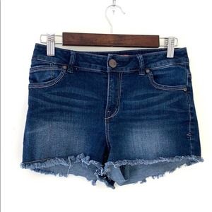 Astor Raw Hem Jean Shorts